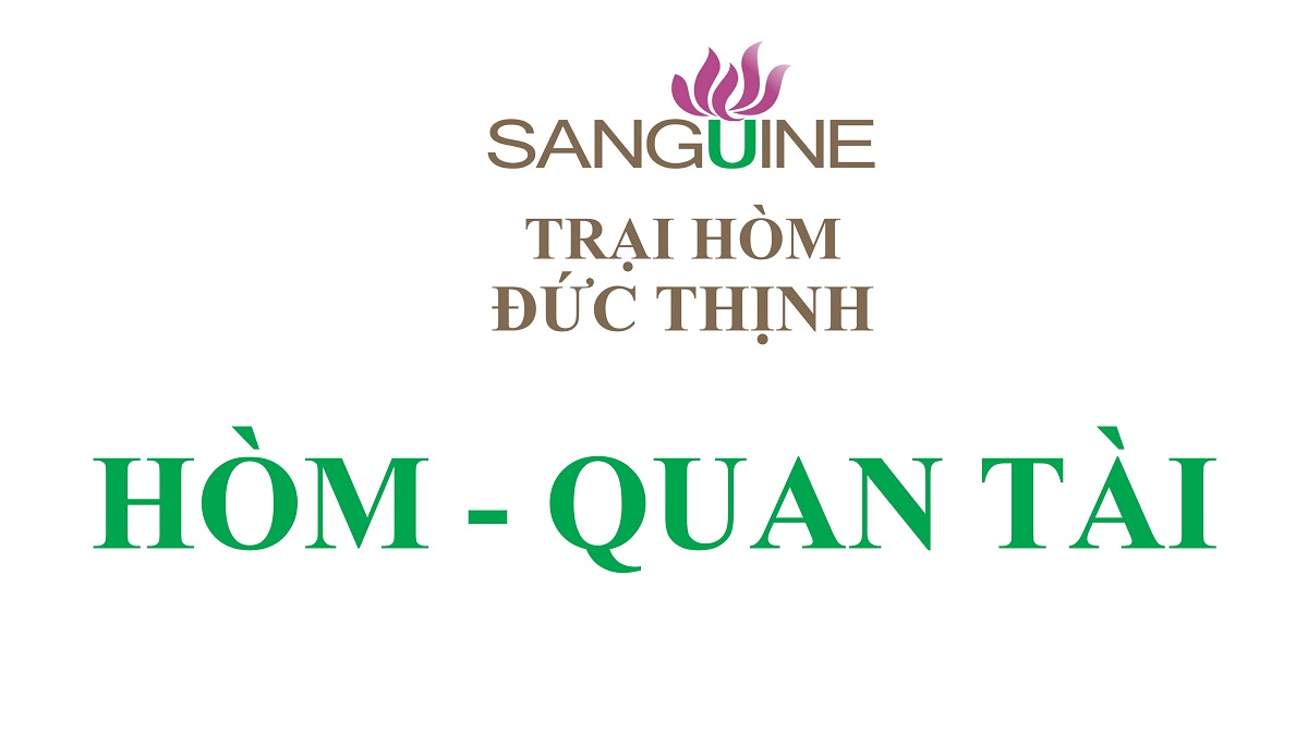 hom-quan-tai