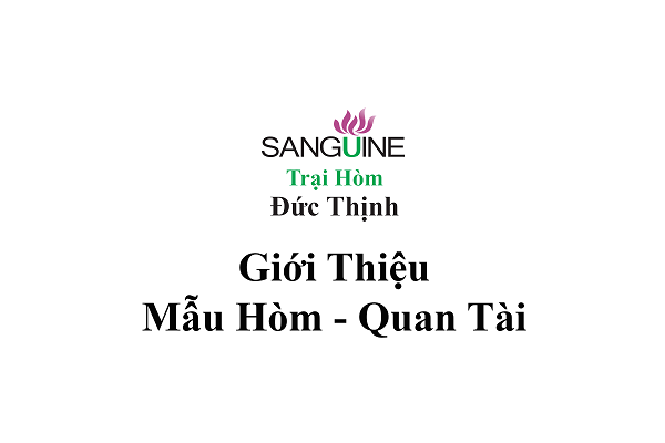 Mẫu Hòm - Quan Tài Gỗ Mai Táng 2021