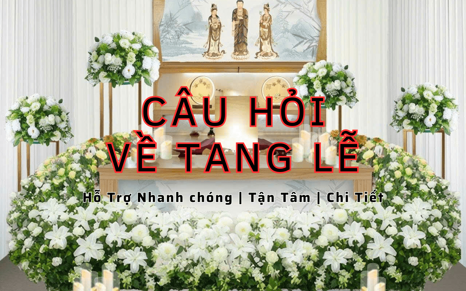 FQA-lien-quan-den-co-so-mai-tang-tphcm